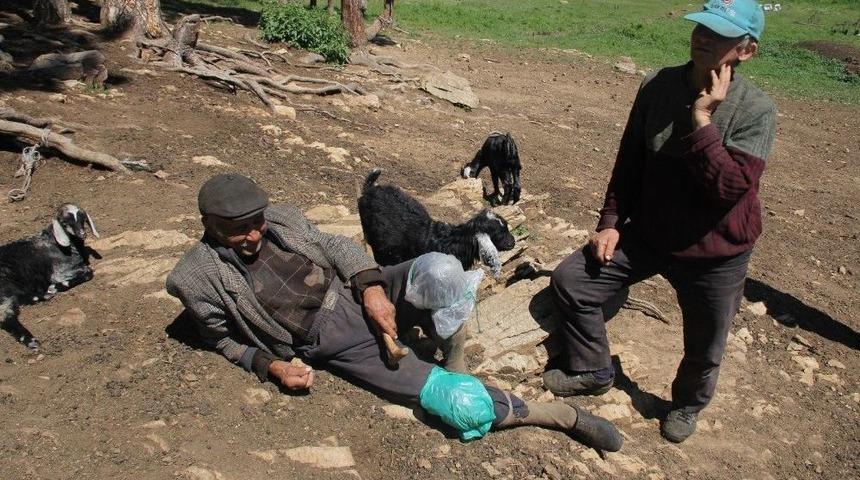 80 Yaşında, Varlık İ&ccedil;inde Sefalet &Ccedil;eken Adam