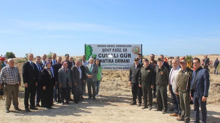 Manavgat’ta Şehit Gür İçin Hatıra Ormanı