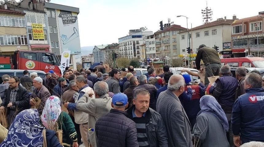 Kastamonu&rsquo;da 3 Bin Fidan 3 Dakikada Dağıtıldı