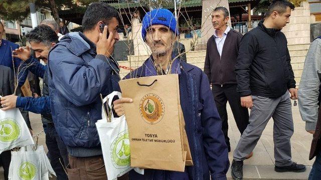 Kastamonu’da 3 Bin Fidan 3 Dakikada Dağıtıldı