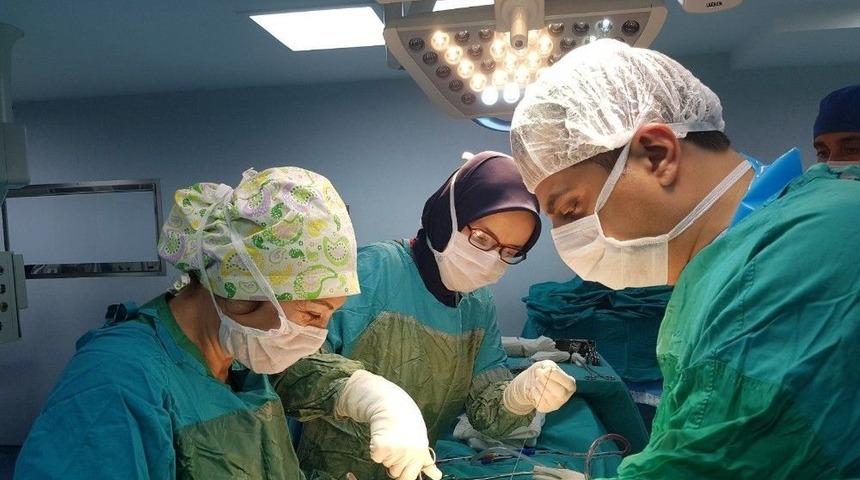 B&ouml;brek Beklerken Karaciğeriyle Umut Oldu