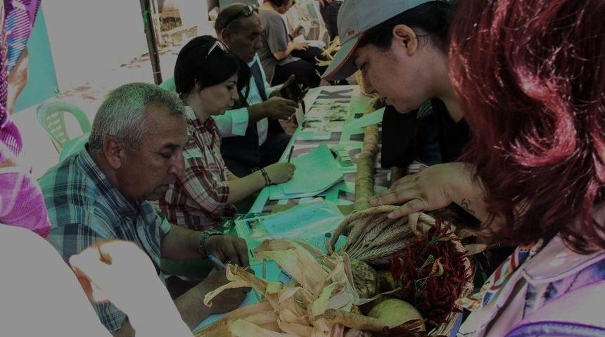 Bu Kabak Neredeyse 2 Metre Boyunda