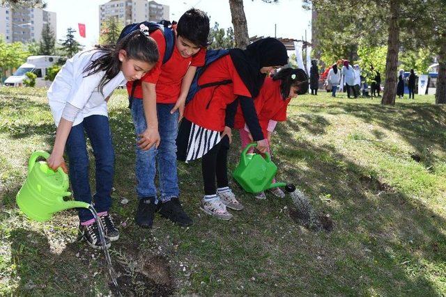 Büyükşehir Belediyesinden ’ağaç Dikme Şenliği’