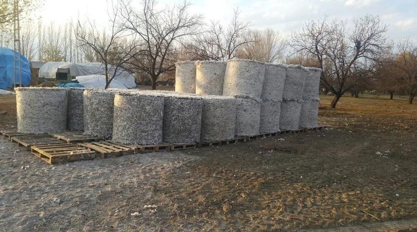 Iğdır&rsquo;da Pamuk Hasadı Devam Ediyor