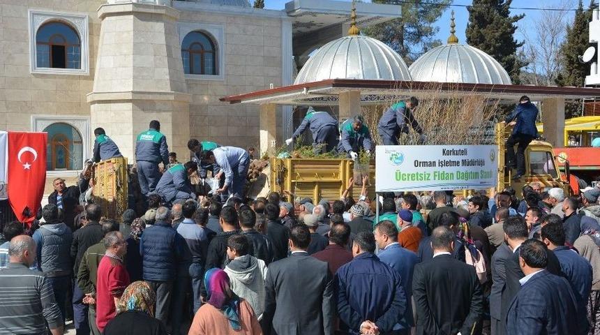 Korkuteli İl&ccedil;esinde &Uuml;cretsiz Fidan Dağıtıldı