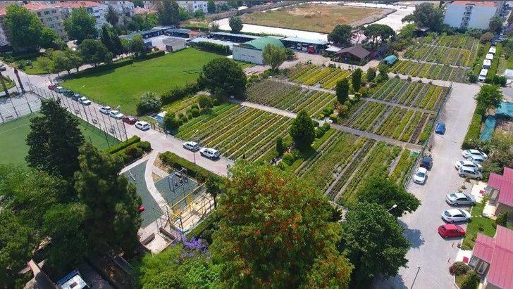 Şehrin Kalbinde Betonlar Arasında 94 Yıllık Oksijen Deposu G2