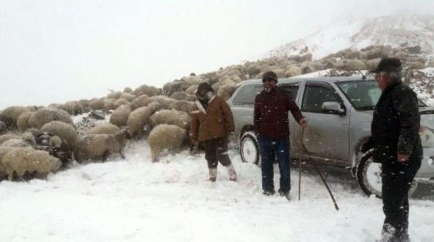Yaylada Mahsur Kalan 7 Kişi Kurtarıldı