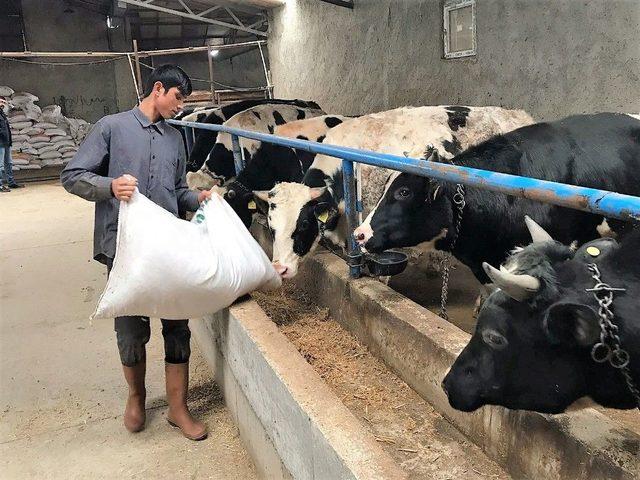 &Uuml;retici Ucuz Et Form&uuml;l&uuml;n&uuml; A&ccedil;ıkladı 1