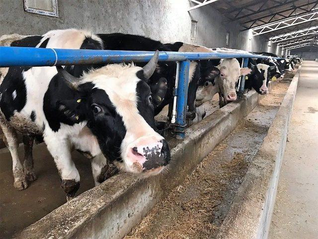 &Uuml;retici Ucuz Et Form&uuml;l&uuml;n&uuml; A&ccedil;ıkladı 2