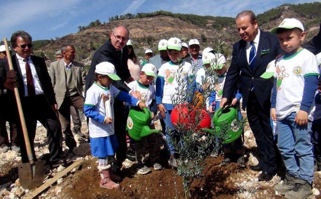 Zeytink&ouml;y&rsquo;e 64 Bin Ada&ccedil;ayı Fidanı