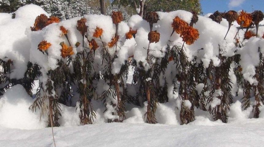 Bitlis&rsquo;te 51 K&ouml;y Yolu Ulaşıma Kapandı