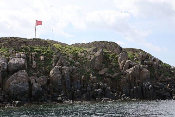 Kadıkalesi’nde Denizin Dibi Temizlendi G1