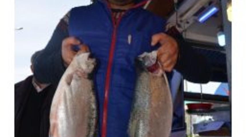 Trabzon’dan Japonya Ve Amerika ‘ya Somon İhracatı