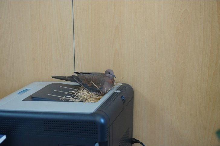 Başkanın Makamında Onu Görenler Şaşkına Dönüyor G4