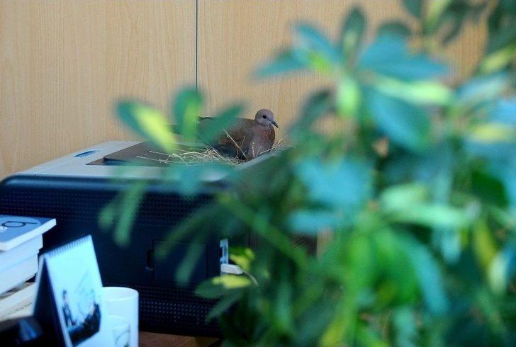 Başkanın Makamında Onu Görenler Şaşkına Dönüyor G5