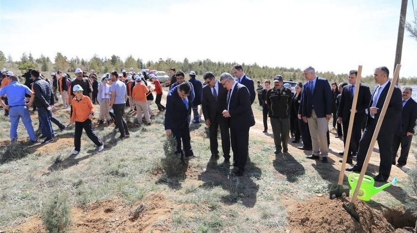 Daha Yeşil Bir Aksaray İ&ccedil;in Fidanlar Toprakla Buluştu