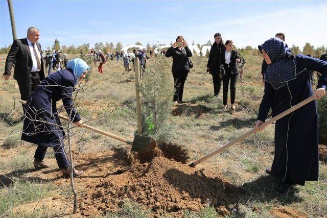 Daha Yeşil Bir Aksaray İçin Fidanlar Toprakla Buluştu