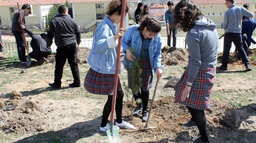 Akdağmadeni&rsquo;nde &Ouml;ğrenciler Okul Bah&ccedil;esine Ağa&ccedil; Dikti