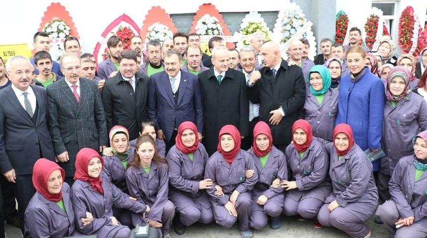 Bakan Eroğlu Defne Yaprağı Fabrikasının A&ccedil;ılışını Yaptı