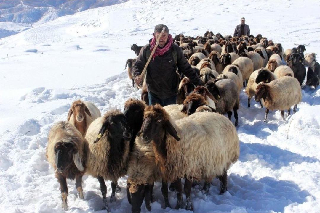 Yaylacıların Zorlu Yolculuğu