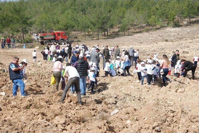 Silifke’de 2 Bin Fidan Toprakla Buluşturuldu