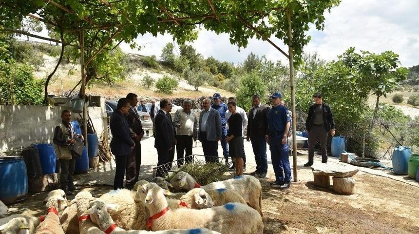 Karacasulu Şehit Ailesine Valilikten Destek