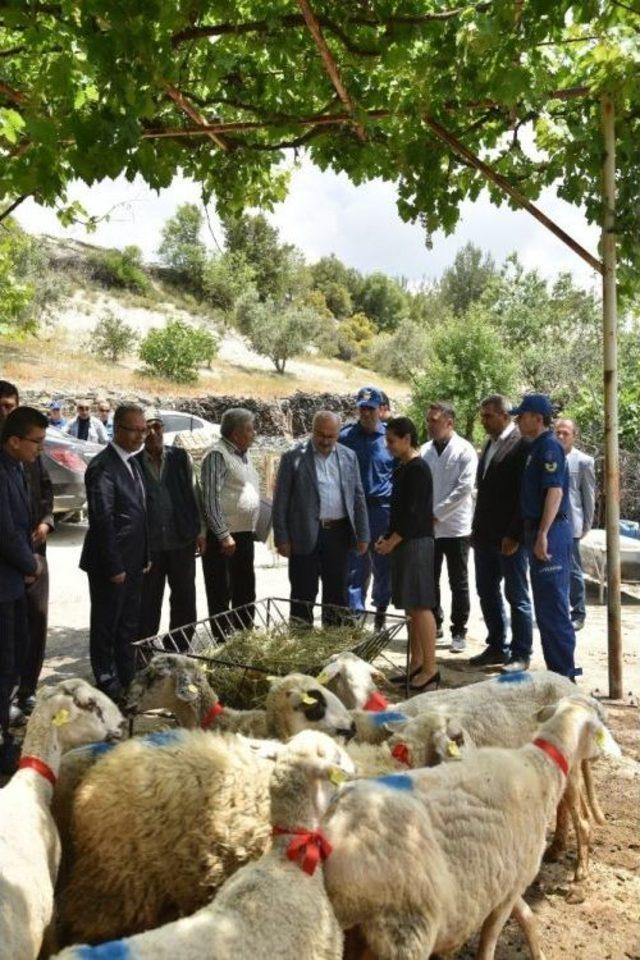 Karacasulu Şehit Ailesine Valilikten Destek