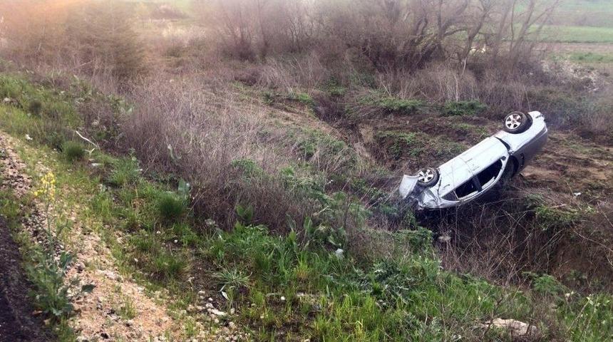 Tilkiye Çarpan Otomobil Takla Attı: 2 Yaralı