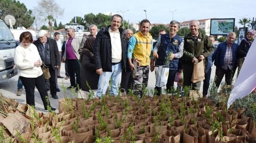 Biga&rsquo;da &Uuml;cretsiz 7 Bin Adet Fidan Dağıtıldı