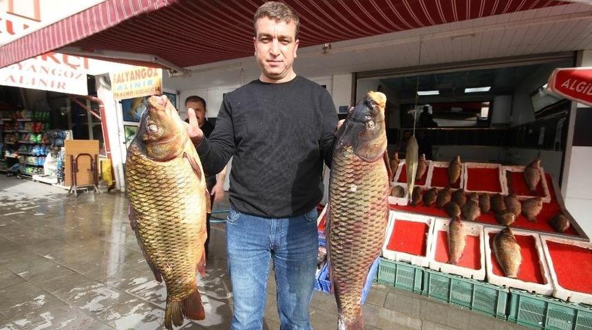 Beyşehir&rsquo;de Baraj Balıkları Tezgahtaki Yerlerini Aldı