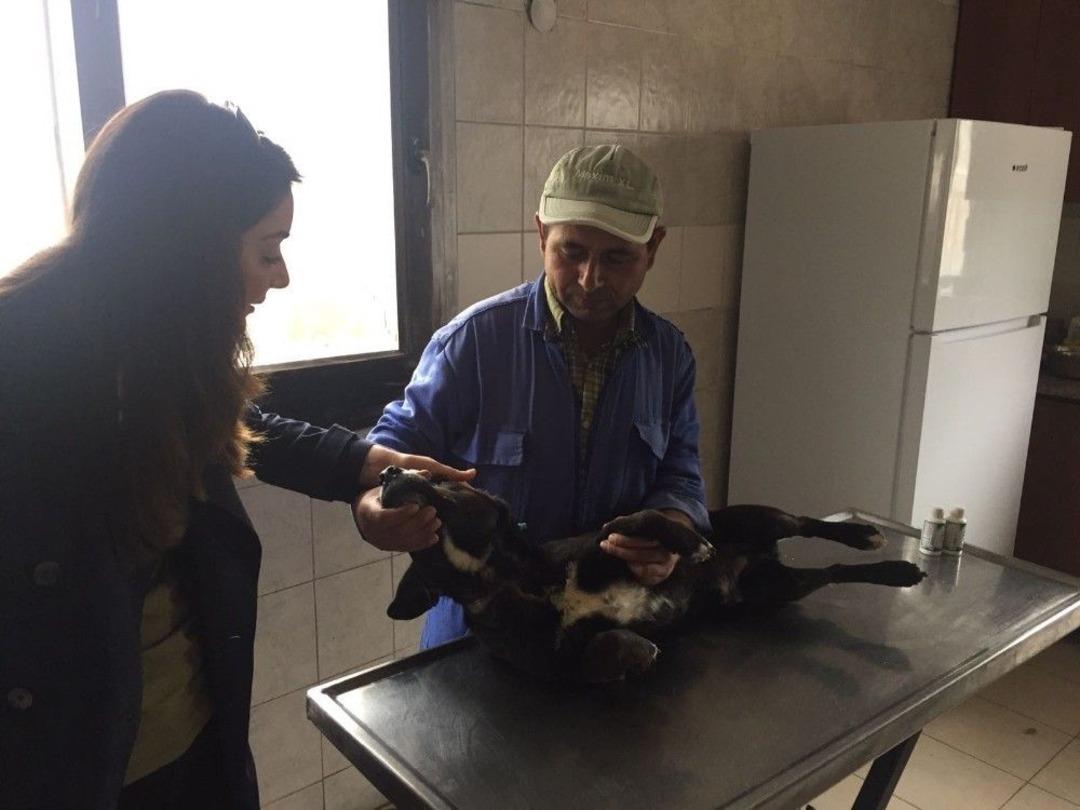 K&uuml;&ccedil;&uuml;kl&uuml;ğ&uuml;nde Boynuna Ge&ccedil;irilen Tasma Sonu Oluyordu