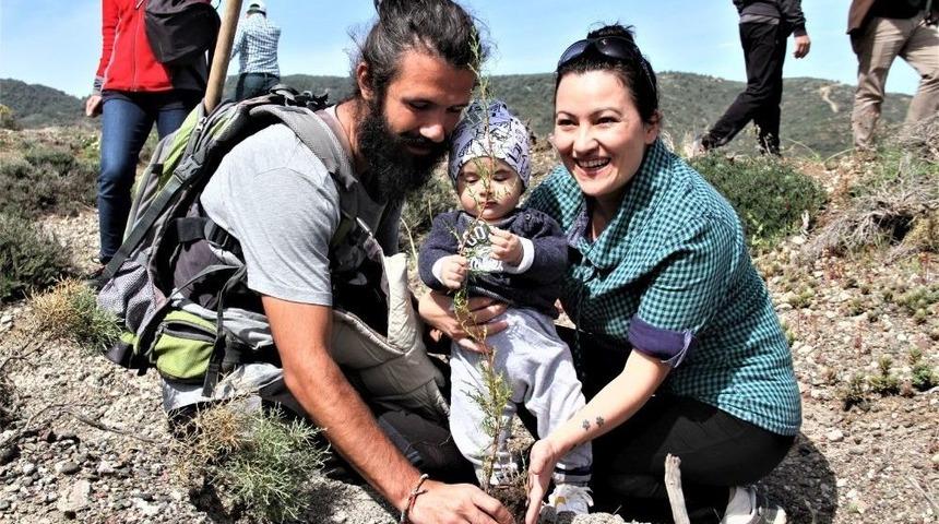 Dat&ccedil;a&rsquo;da Fidanlar Toprakla Buluştu