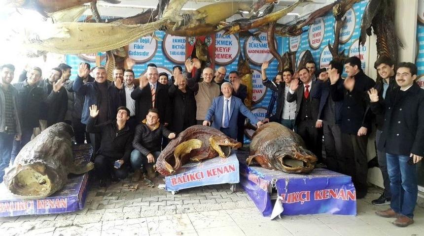 Balıkların Denizlerimizi Tek Etme Sebeplerinden Birisi De Atık Yağlar