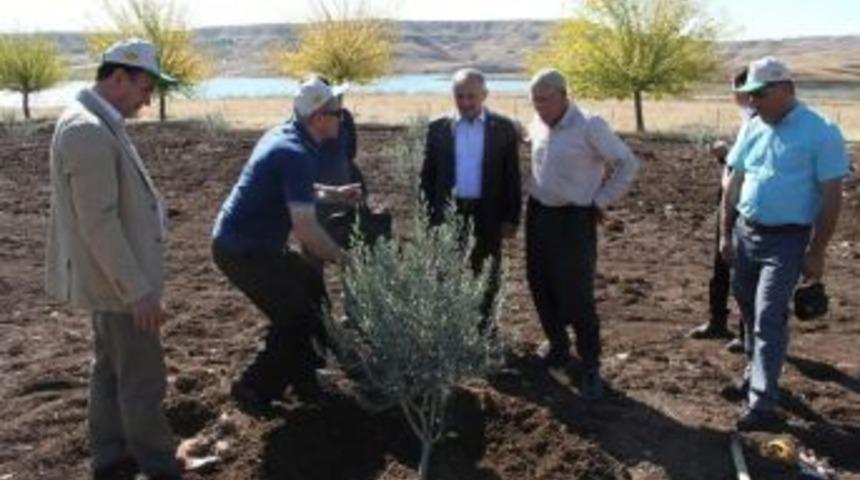 Başkan Şahan 14 Mayıs D&uuml;nya &Ccedil;ift&ccedil;iler G&uuml;n&uuml;n&uuml; Kutladı