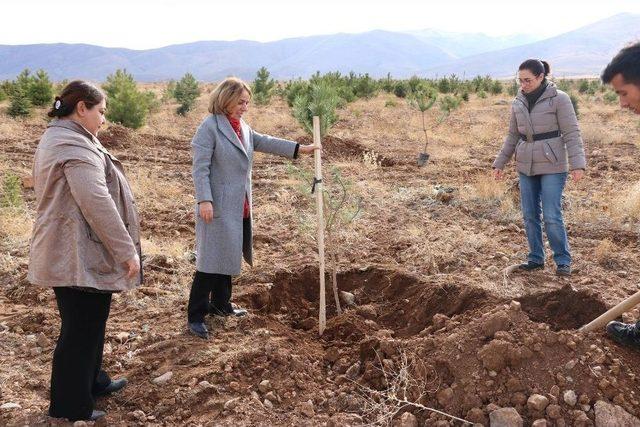 &Uuml;niversite &Ouml;ğrencilerinden Anlamlı Etkinlik 1