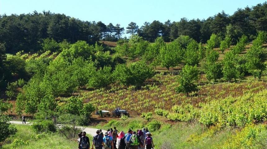 Doğa Y&uuml;r&uuml;y&uuml;şleri Sona Erdi