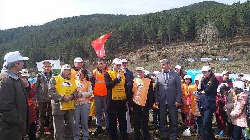 Simav&rsquo;da &rsquo;orman Haftası&rsquo; Fidan Dikilerek Kutlandı