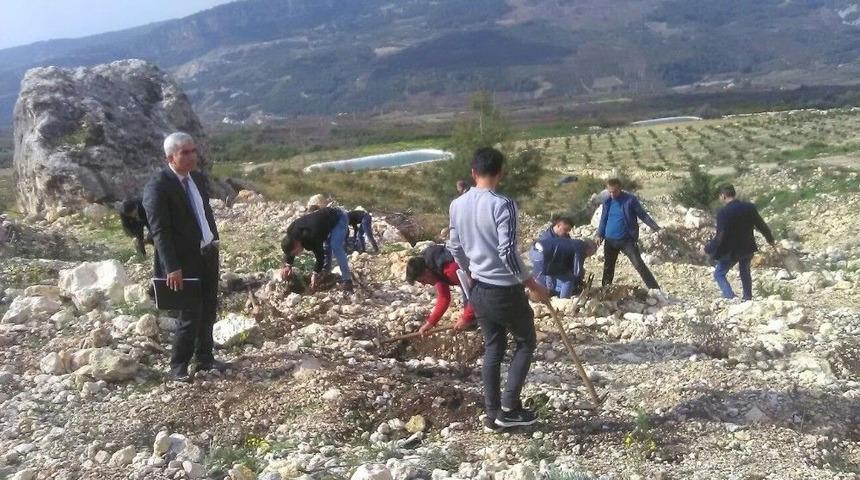 Mersin&rsquo;de Denetimli Serbestlik Y&uuml;k&uuml;ml&uuml;leri Fidan Dikti