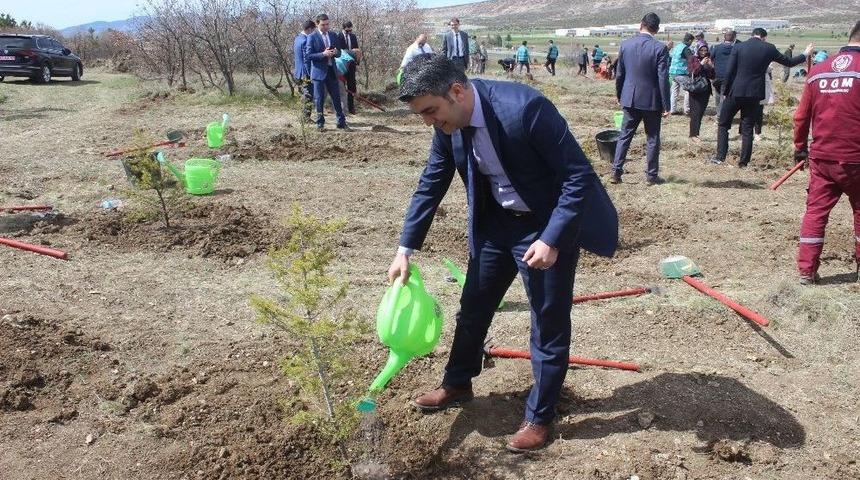 Şehitler İ&ccedil;in Hatıra Ormanı