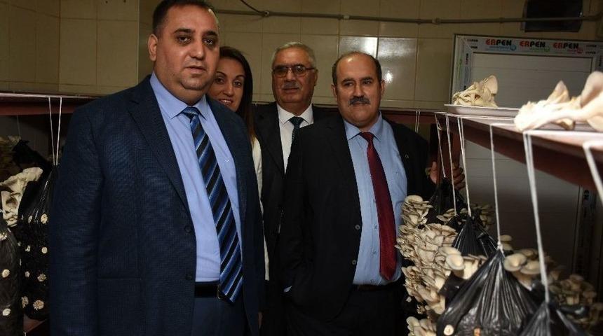 İstiridye Mantarı Yetiştiriciliği Kursunda İlk Hasat Yapıldı