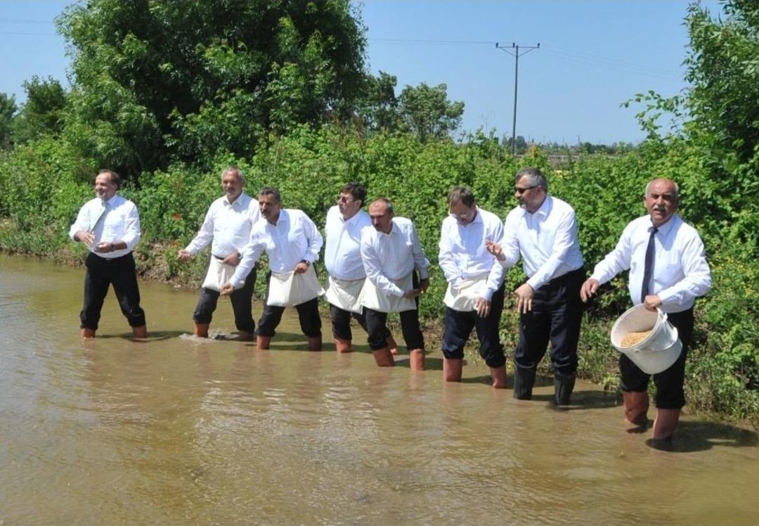 Bafra Ovası&rsquo;nda &Ccedil;eltik Tohumları Suyla Buluştu