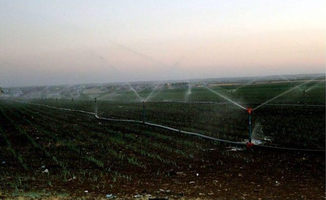 Gece Sulaması Çiftçinin Kazancını Yüzde 15 Artırıyor