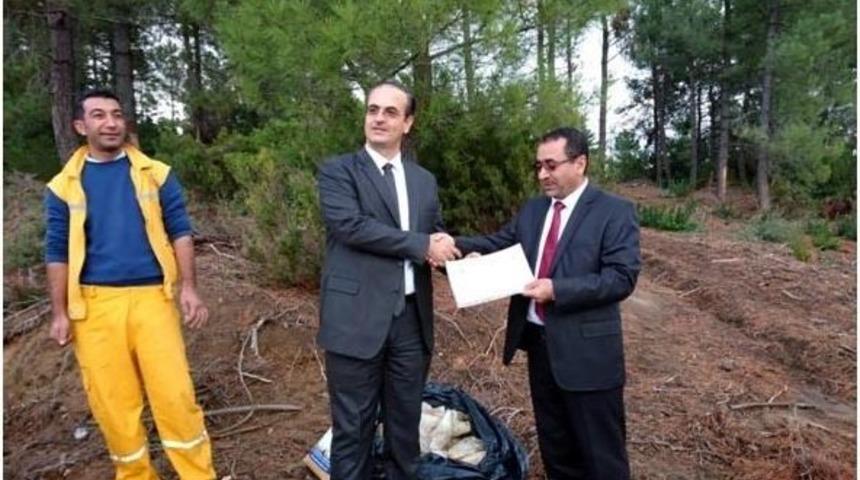 Yalova Ormanlarından Reçine Üretilecek