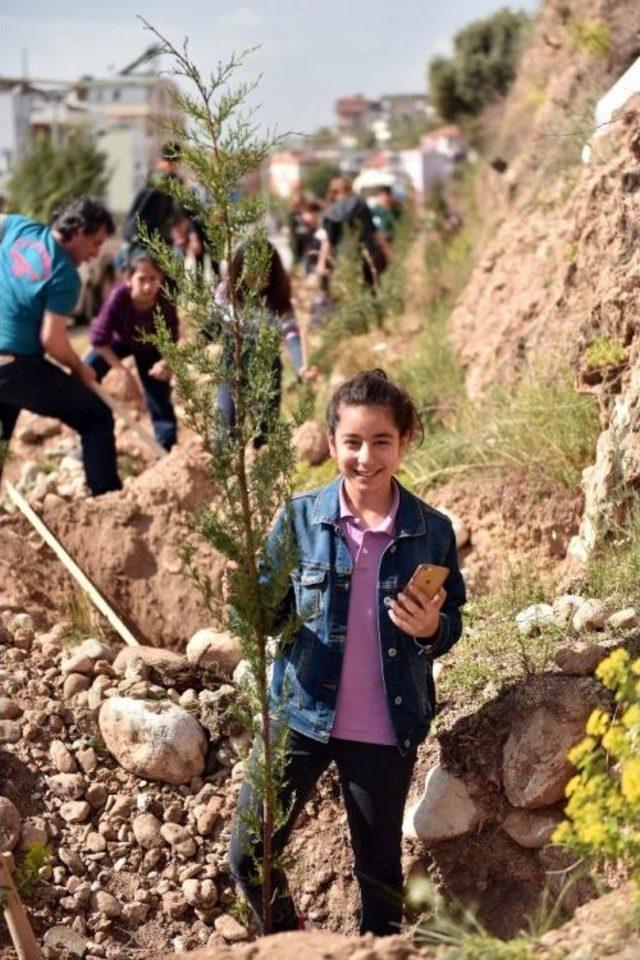 Barış Manço Bulvarı Servili Yol Haline Geliyor