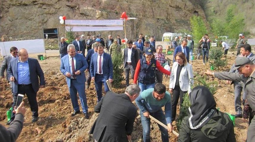 Fatsa&rsquo;da &ldquo;afrin Şehitleri Hatıra Ormanı&rdquo; Kuruldu