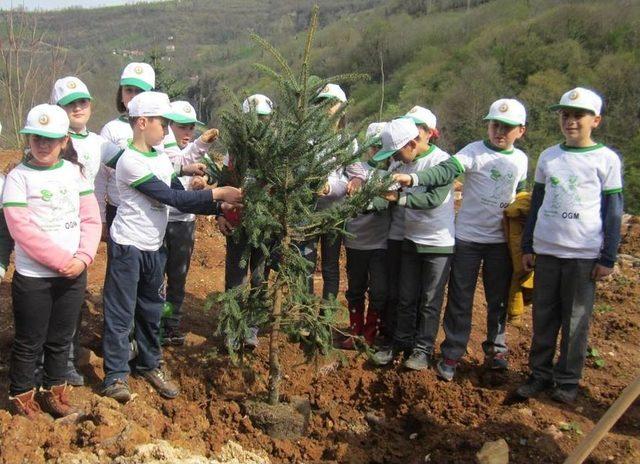 Fatsa’da “afrin Şehitleri Hatıra Ormanı” Kuruldu