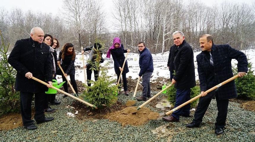 Kastamonu&rsquo;da &ldquo;24 Kasım &Ouml;ğretmenler G&uuml;n&uuml; Hatıra Ormanı&rdquo; Oluşturuldu