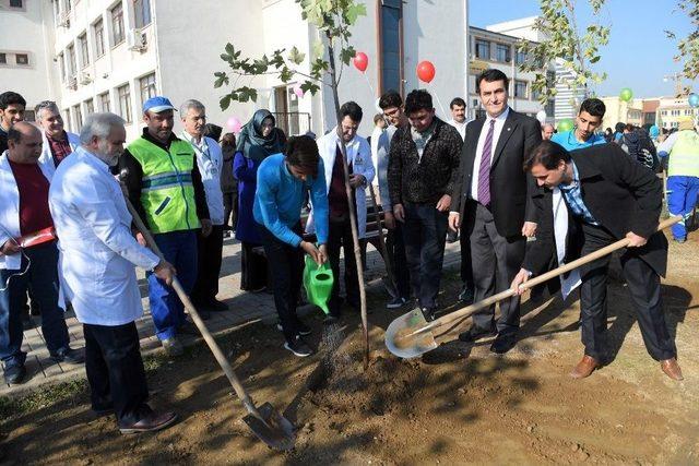 Osmangazi’den Öğretmenler İçin Fidan 1