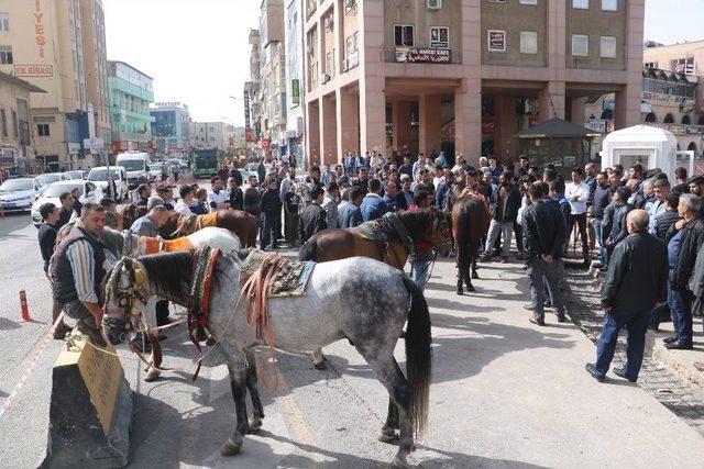 Şanlıurfa’da At Arabası Sahiplerinden Eylem