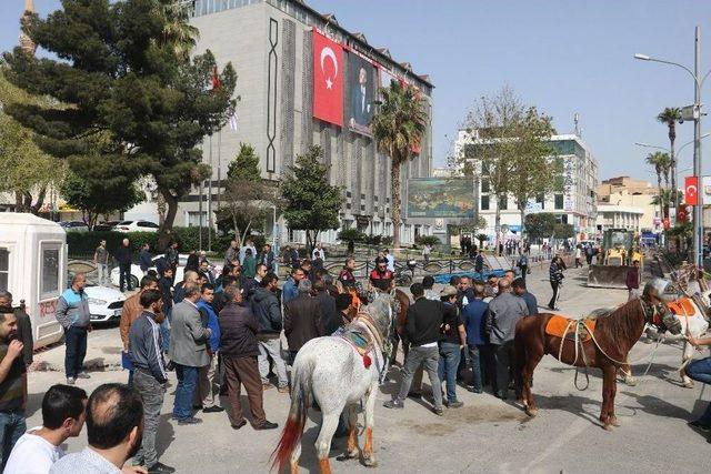 Şanlıurfa’da At Arabası Sahiplerinden Eylem